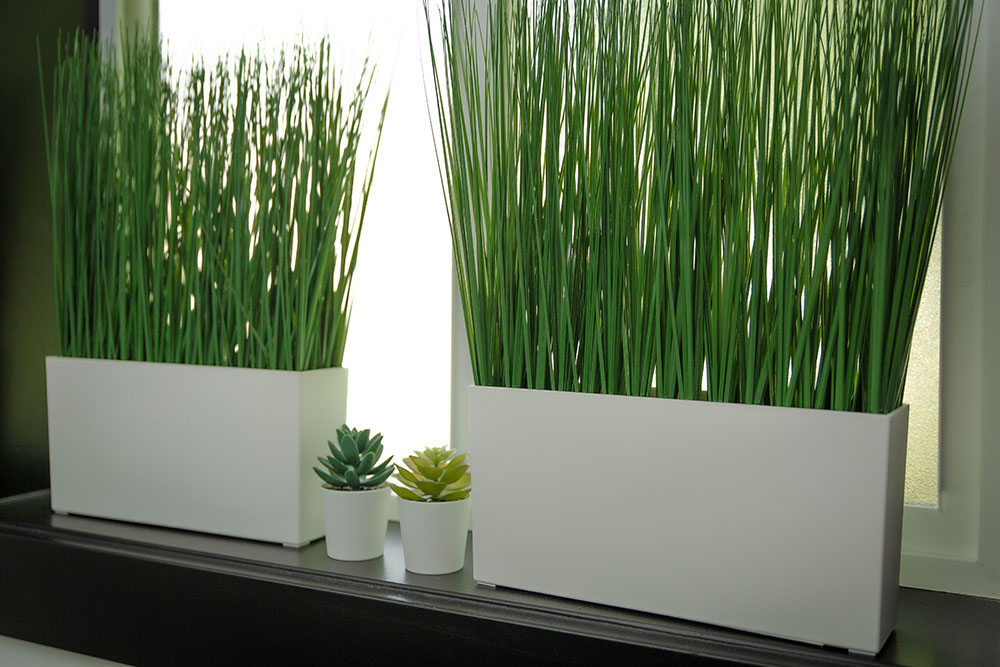 Liva Beautyscape spa interior